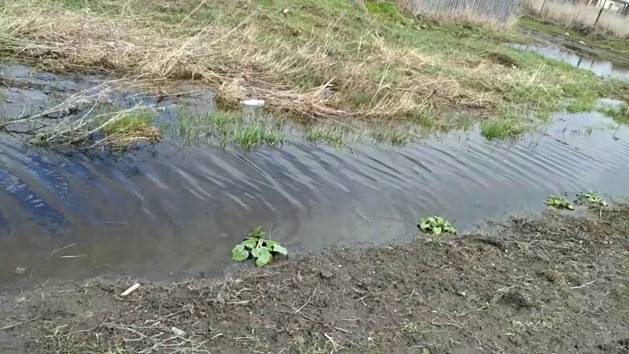 Сосновка Азовского района Омской области улица Садовая тонет