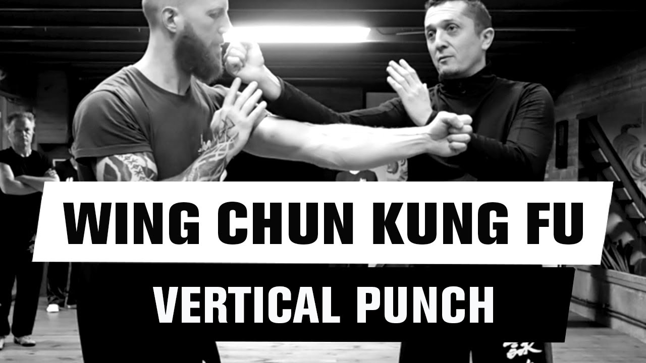 Wing Chun Kung Fu Toulouse ⛩️ Le coup de poing vertical ⛩️ Sifu St&eacute;phane Serror 