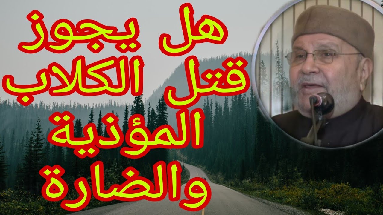 هل يجوز قتل الكلاب الضارة والمؤذية؟إجابة من الدكتور محمد راتب النابلسي