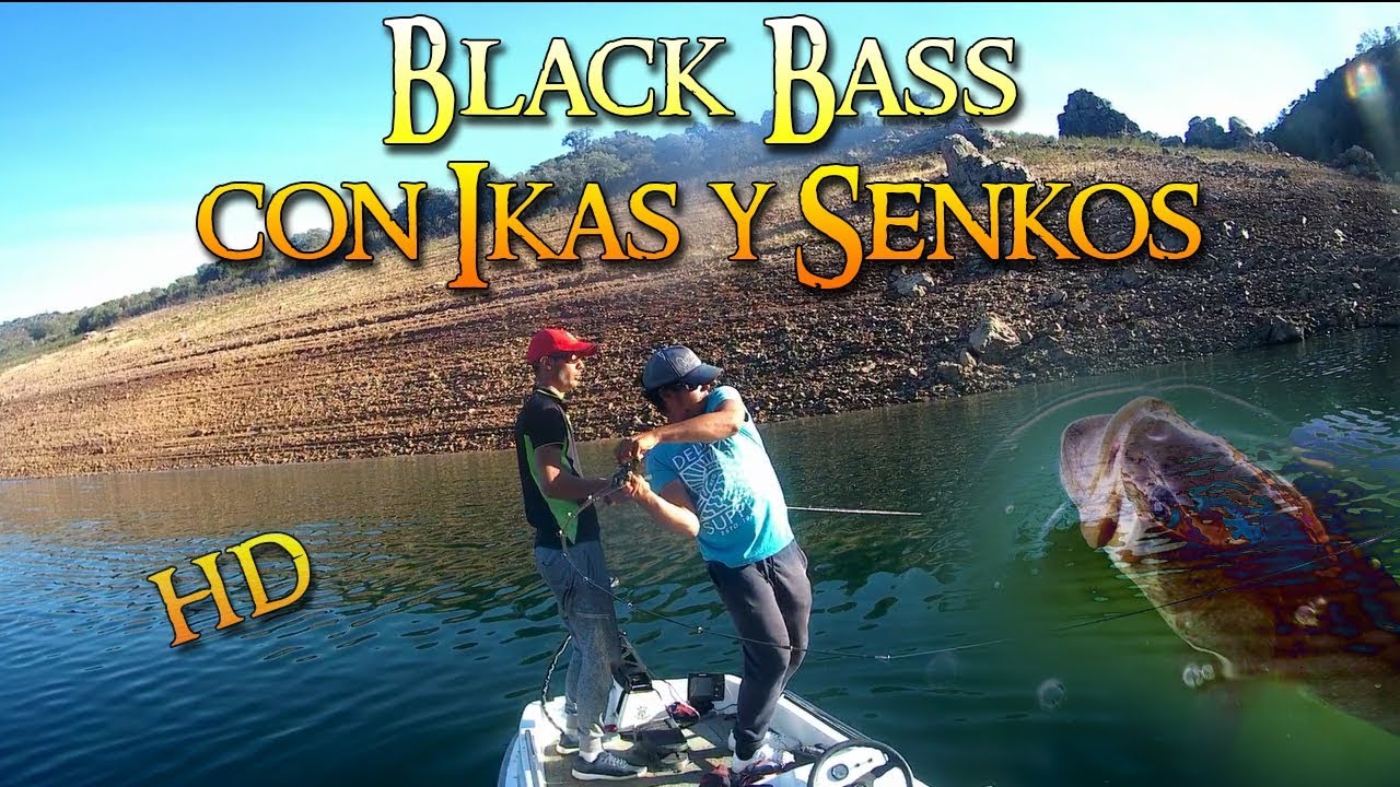 Black Bass Con Ikas Y Senkos | HD
