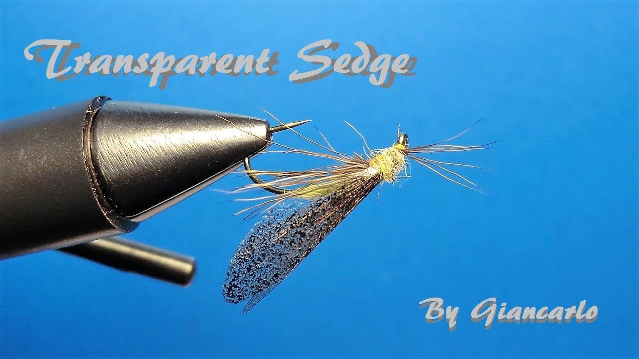 TRANSPARENT SEDGE By Giancarlo
