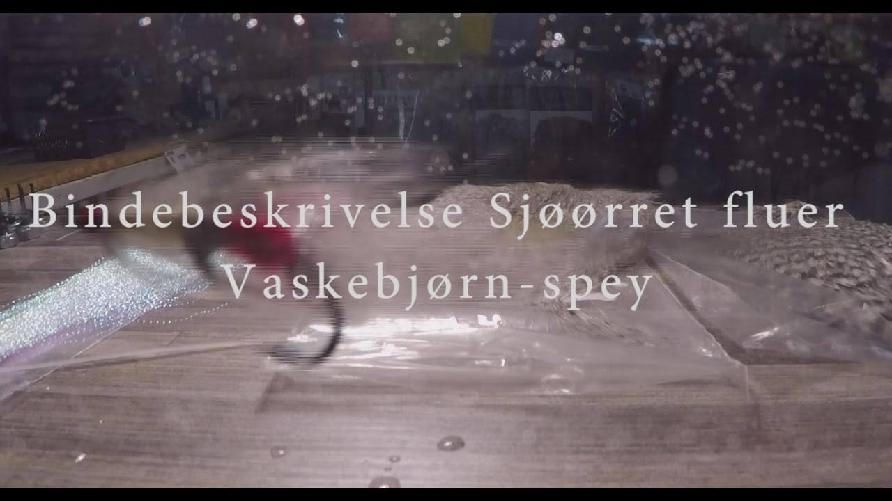 Bindebeskrivelse: Vaskebj&oslash;rn-spey