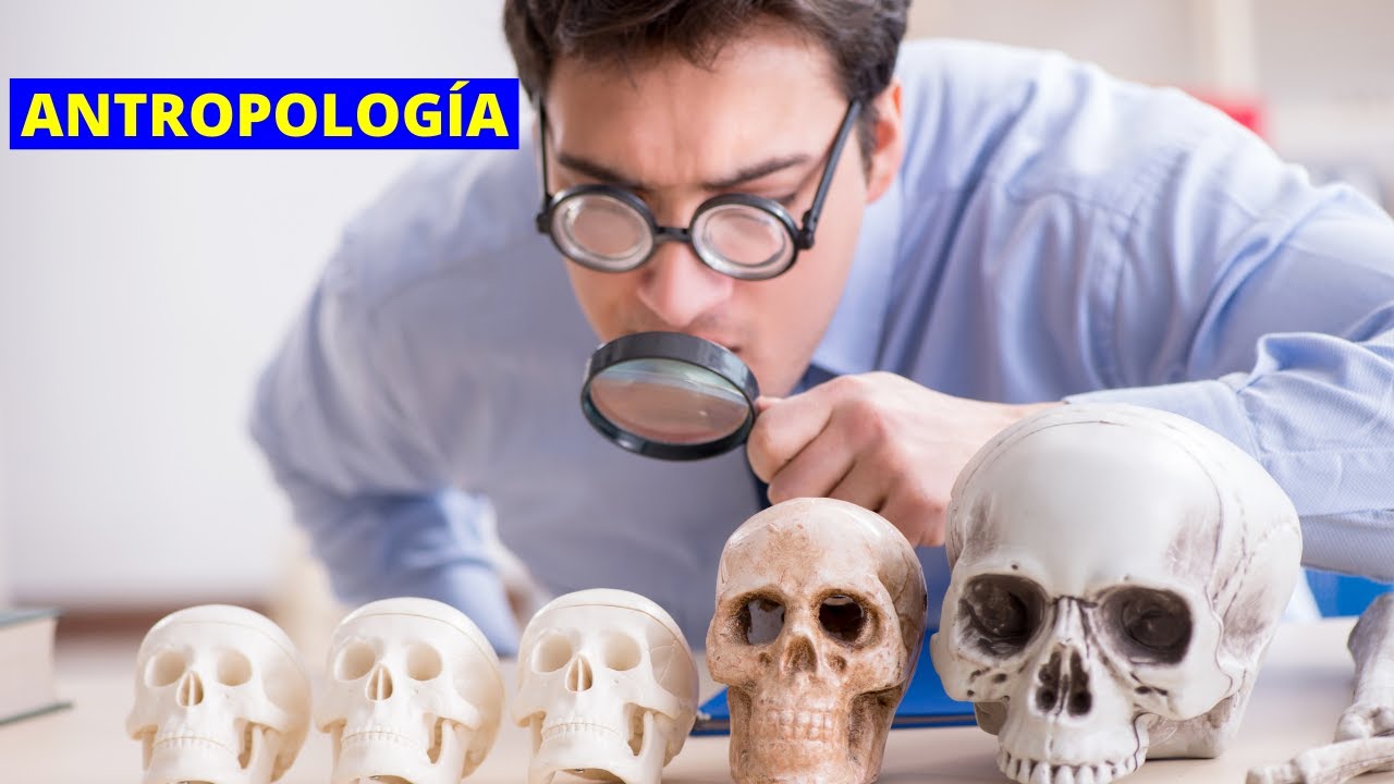 &iquest;Qu&eacute; es la ANTROPOLOG&Iacute;A y qu&eacute; estudia? Ramas, importancia y ejemplos👨&zwj;🏫