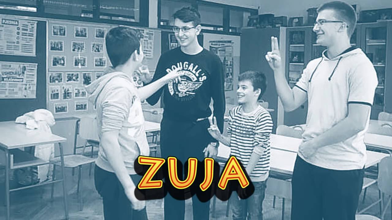 Projekt BAŠTIONICA