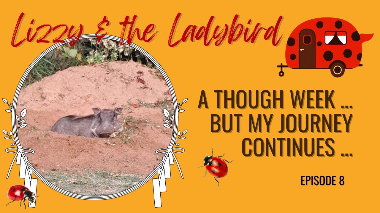 Sunrise, Warthogs & Setbacks - My Journey Continues
