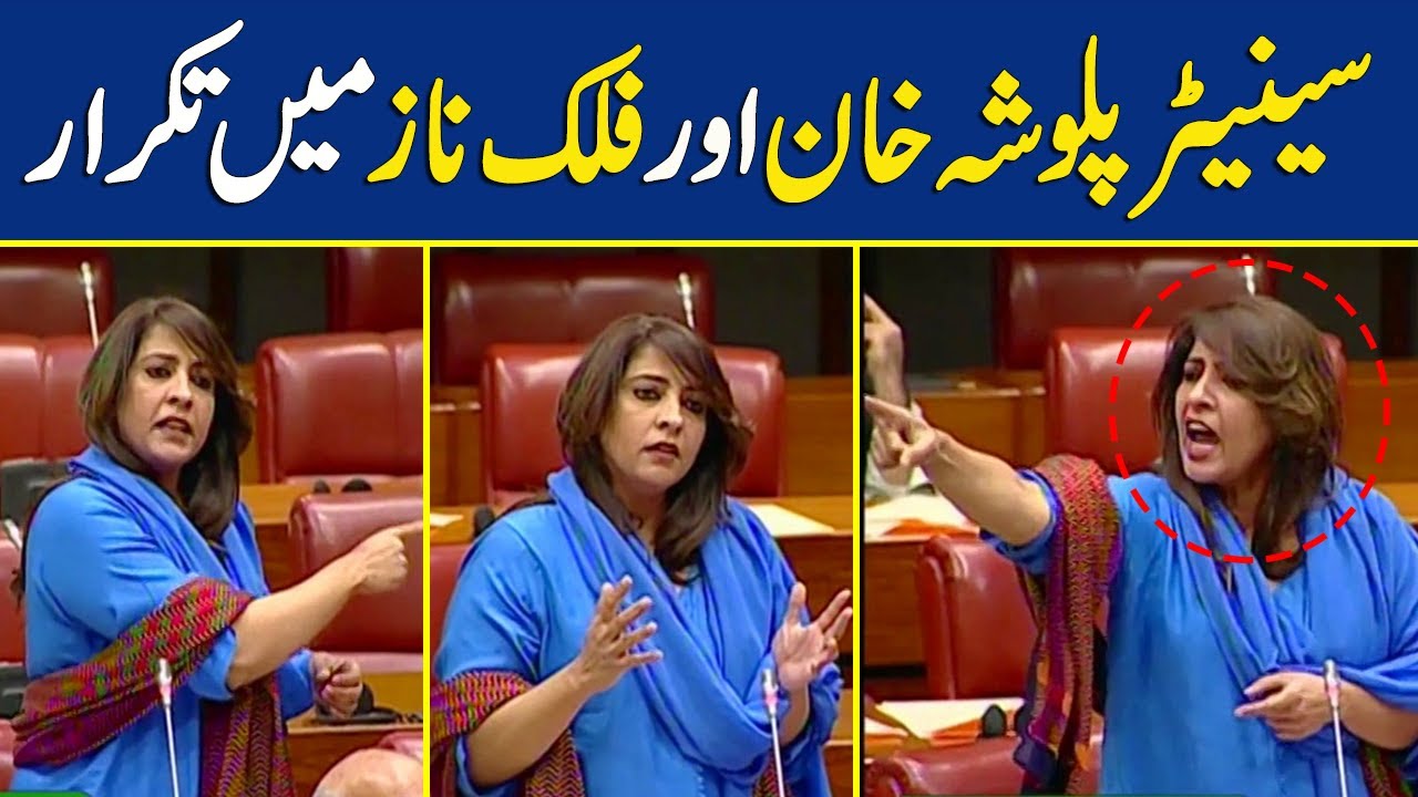 'Chup Karo', Heated Words Between Senator Palwasha Khan And Falak Naz | Dawn News