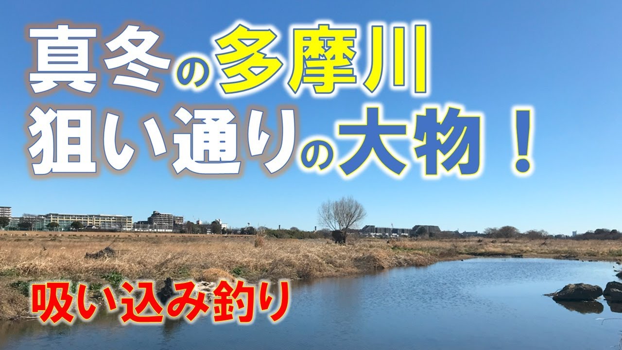 真冬の多摩川で大型フナ！吸い込み仕掛けの威力！ / Big Crucian Carp in Winter Tama River! The Power of Vacuum Rig!
