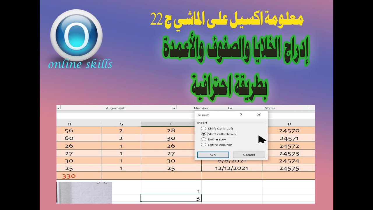 إدراج خلايا أو صفوف أو أعمدة بطريقة احترافية [معلومة اكسيل على الماشي] ج22