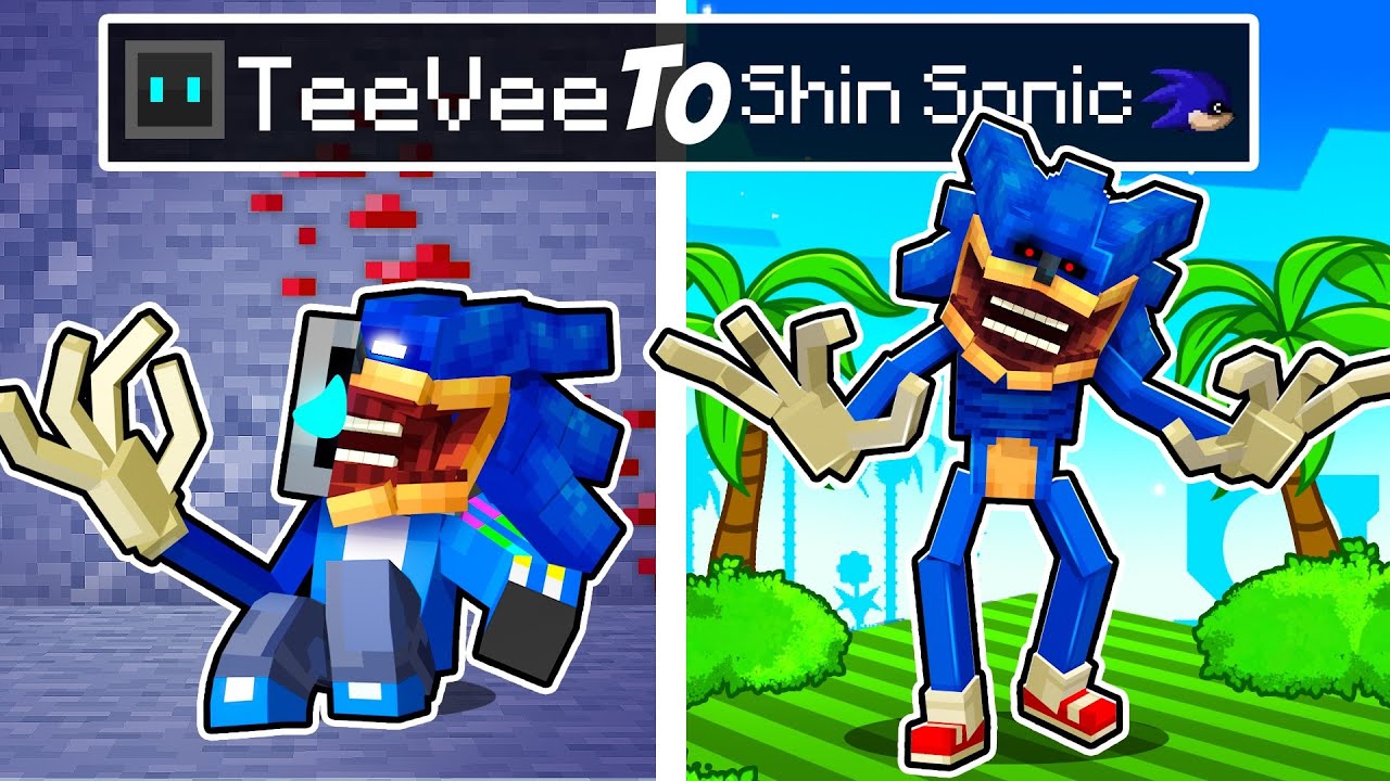From TeeVee to SHIN SONIC in Minecraft!