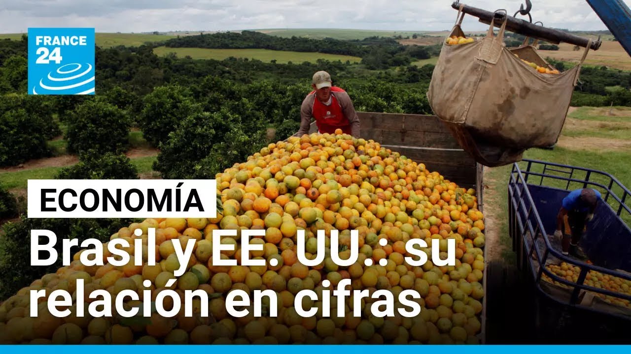 ¿Quién le vende más a quién? la relación entre EE. UU. y Brasil en números • FRANCE 24