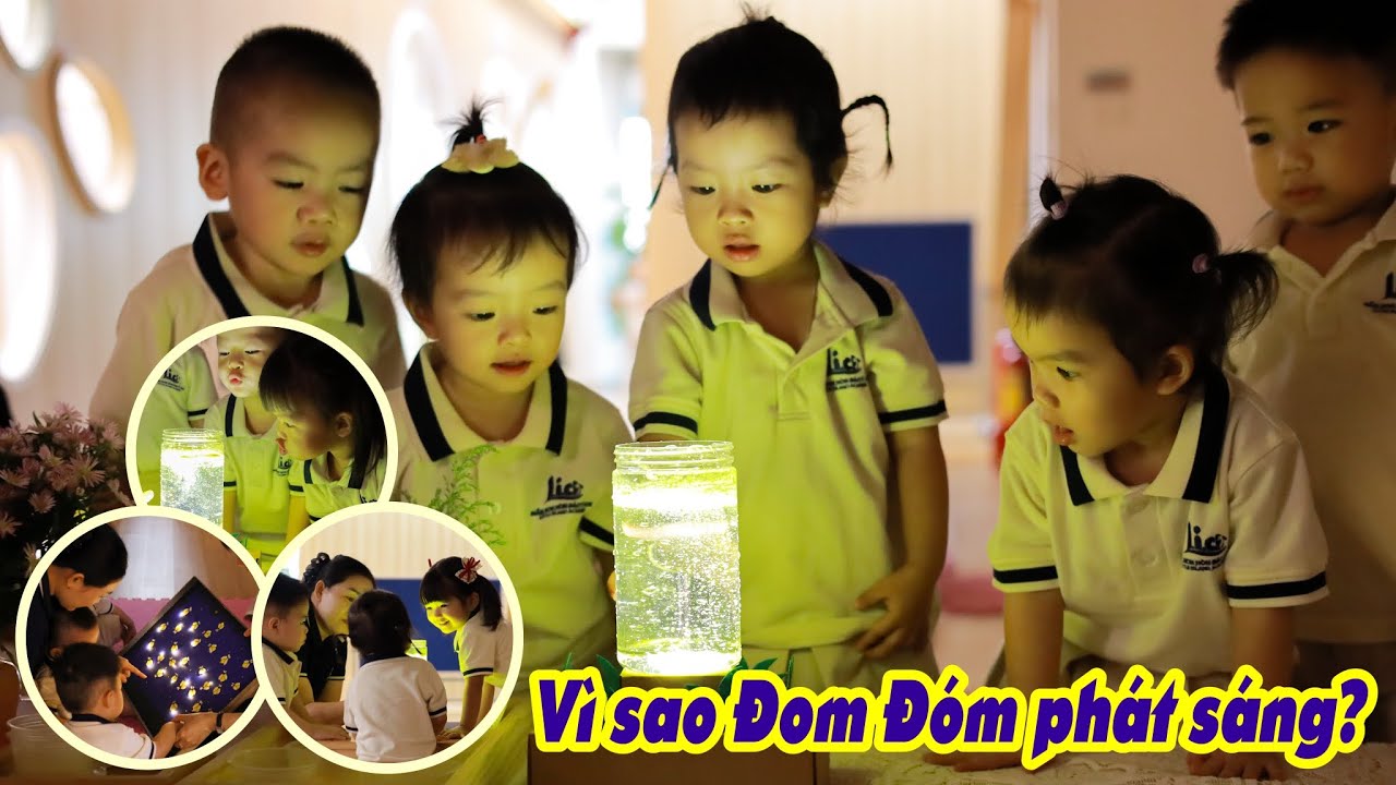 ĐOM ĐÓM PHÁT SÁNG BẰNG CÁCH NÀO? ÁNH SÁNG ẤY ĐẾN TỪ ĐÂU? KHÁM PHÁ KHOA HỌC | MẦM NON HÒN ĐẢO TÍ HON