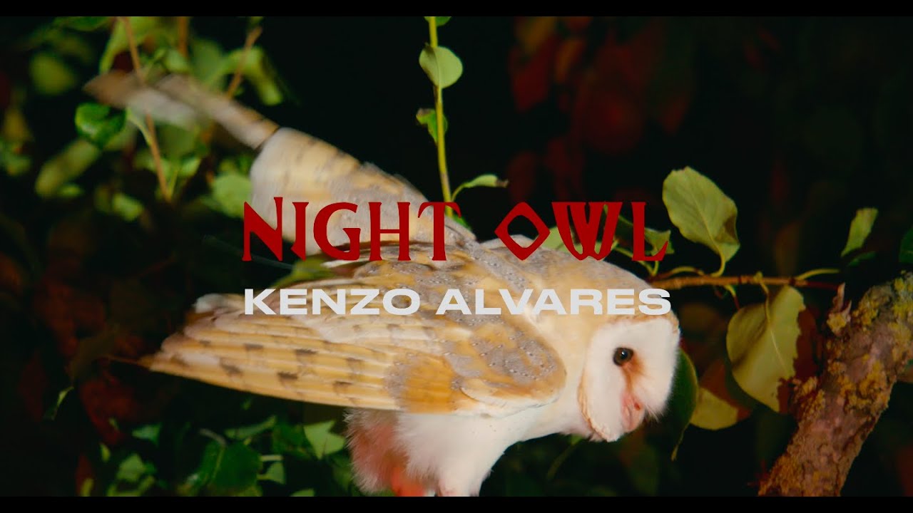 Kenzo Alvares - NIGHT OWL (Official Music Video)