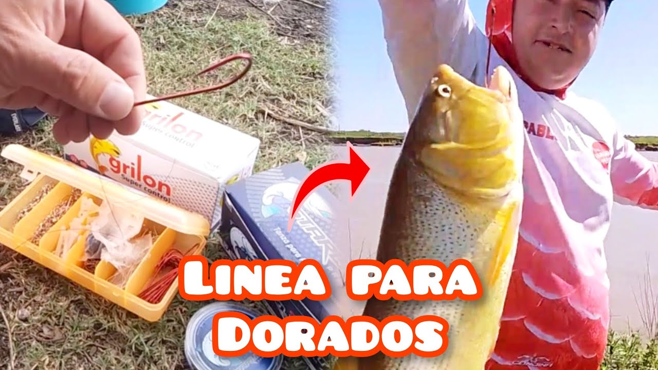LINEA PARA PESCAR DORADOS. Línea de pesca para dorados, pati