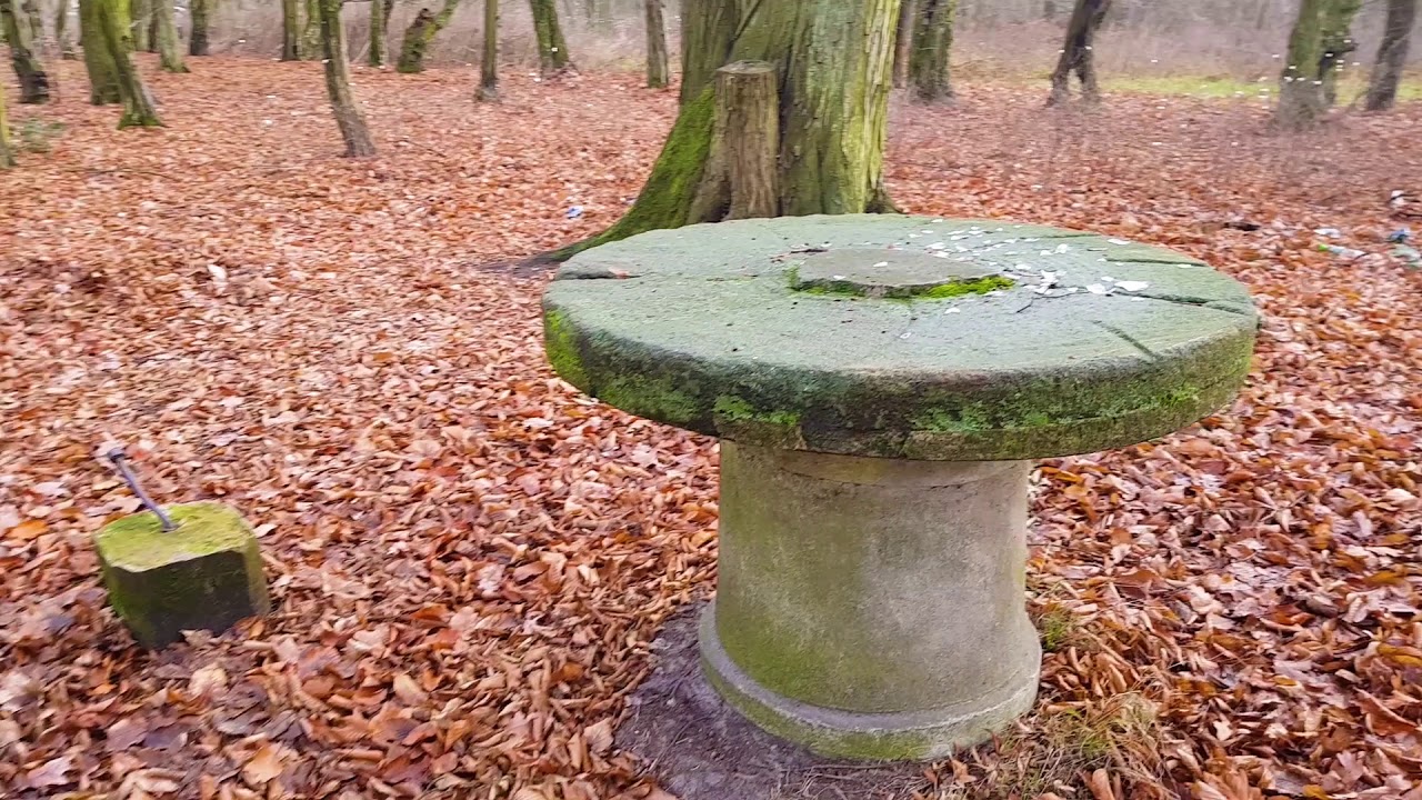 Łomnica Pałac z XVIII wieku i krypta grobowa