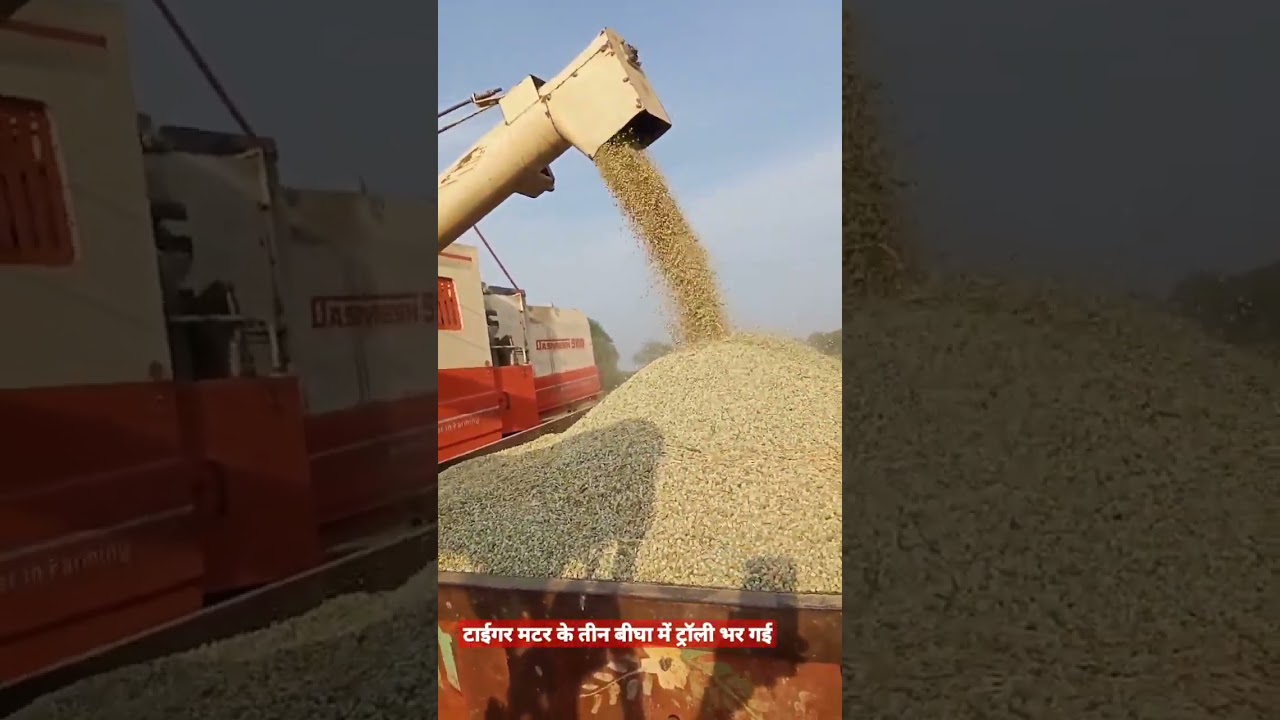high yield variety seeds high yield agriculture crop