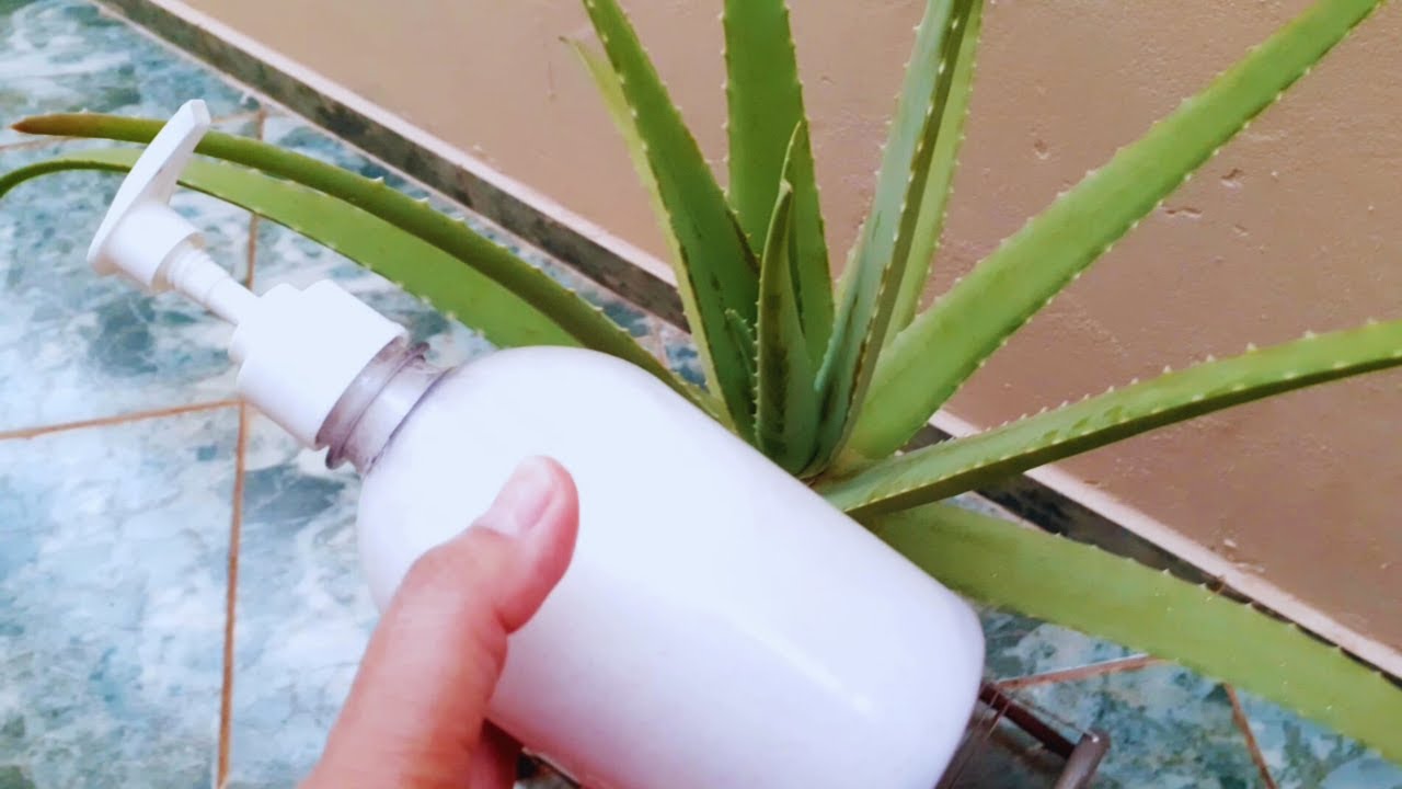 🟢COMO FAZER SABONETE LIQUIDO DE BABOSA EM CASA  RECEITA SIMPLES E FACIL #SaboneteLíquidoCaseiro