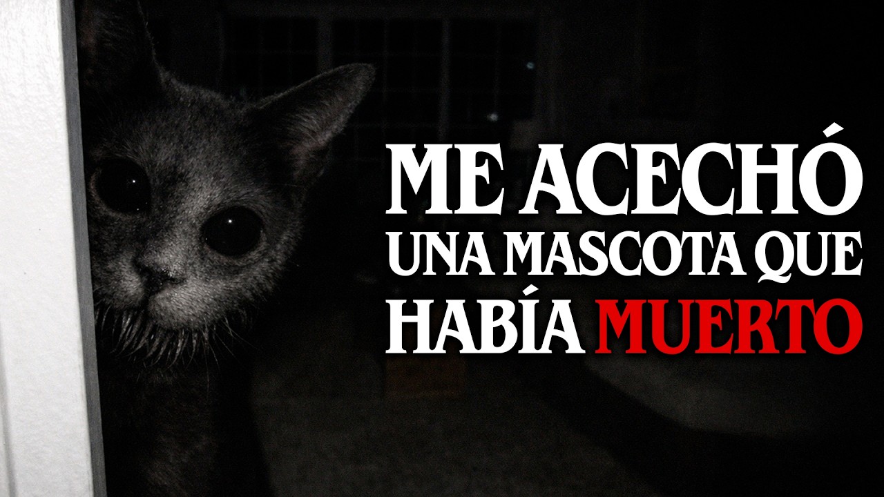 Me acechó una mascota que HABÍA MUERTO, y otras anécdotas paranormales │ Historias de MundoCreepy
