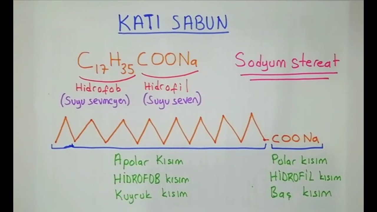SABUN VE DETERJAN(2021) TYT KAZANIMLARINA GÖRE)