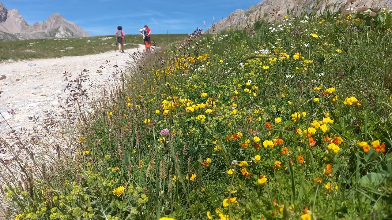 Valle Maira - Rocca La Meya - Rifugio della Gardetta 2024