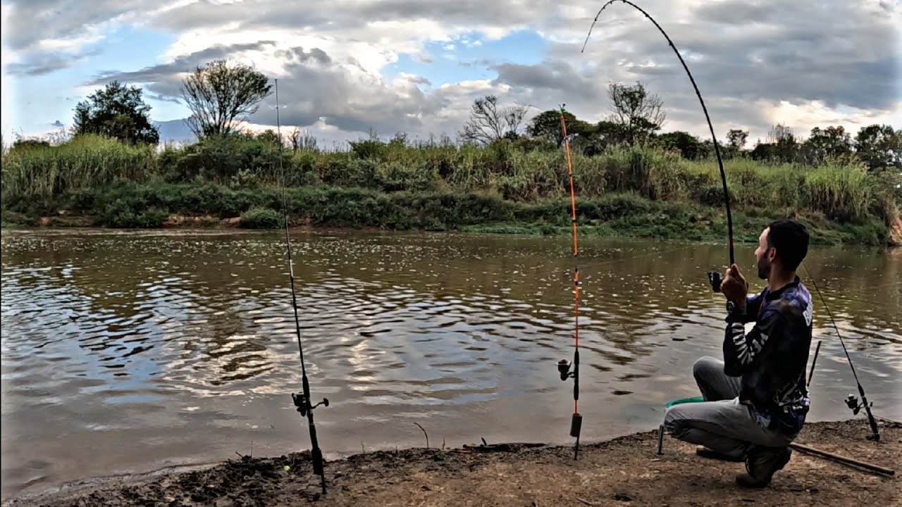 ACHEI UM PONTO NOVO NO RIO CORUMBATAÍ LOTADO DE PEIXE E FIZEMOS AQUELE FRITO #fish #fishing
