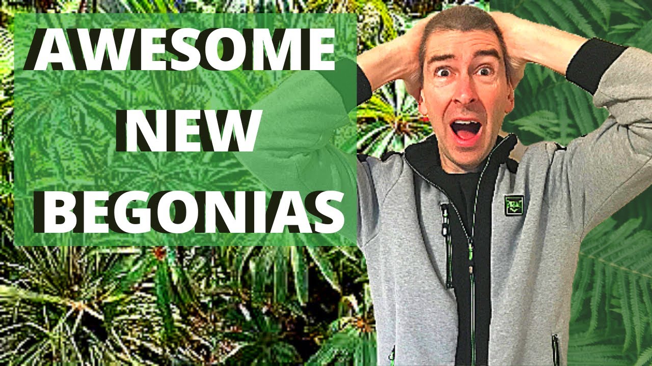 UNBOXING AWESOME NEW BEGONIAS!