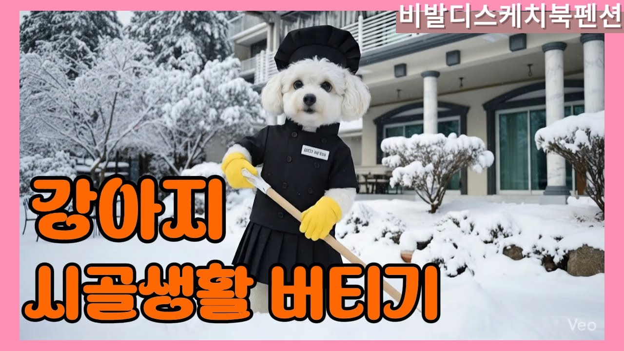 (홍천) 비발디스케치북 펜션 / 시골 강아지의 하루는 생각보다 빡세다