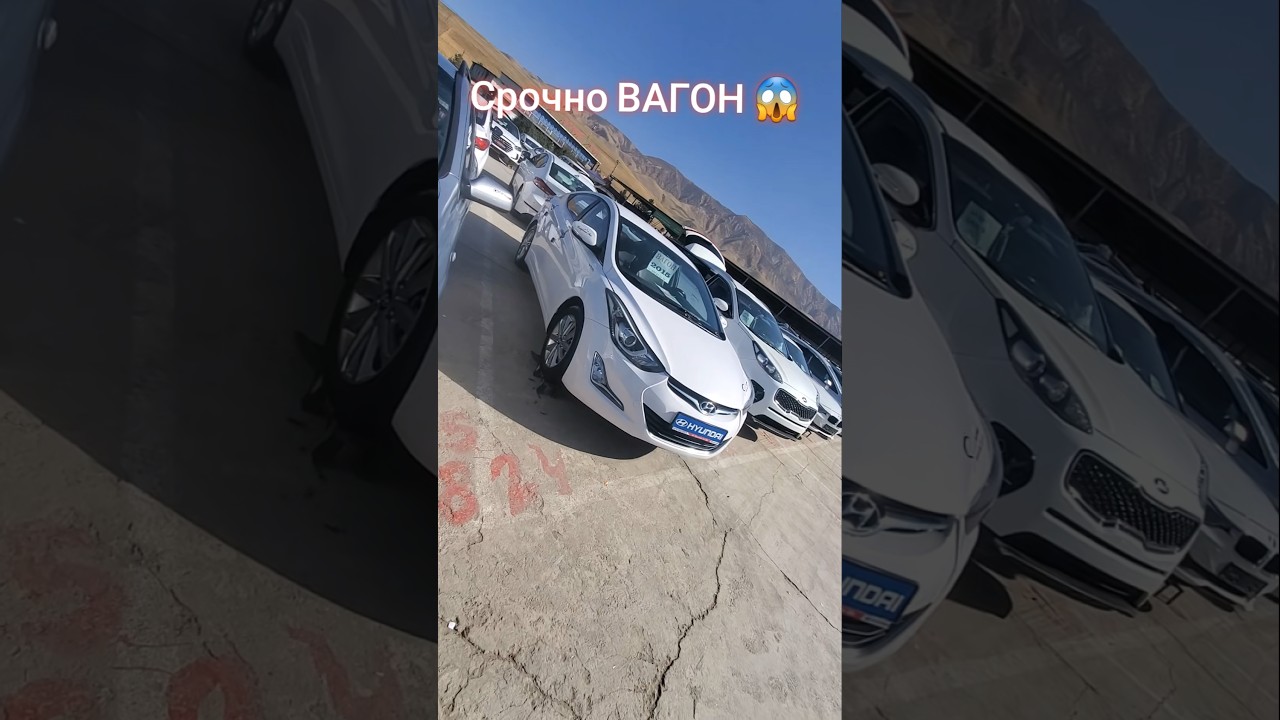 Мошин бозори Душанбе,  Хундай Аванте