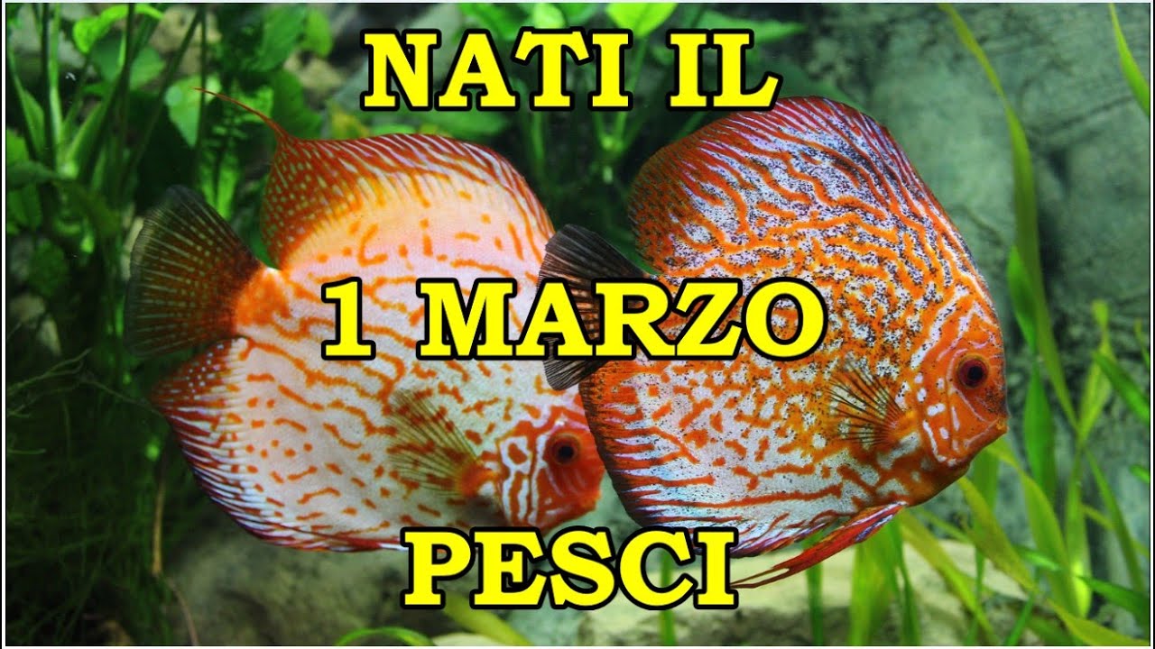 1 Marzo | Segno Zodiacale Pesci ♓ | Significato Giorno Di Nascita | Personalit&agrave; Generale