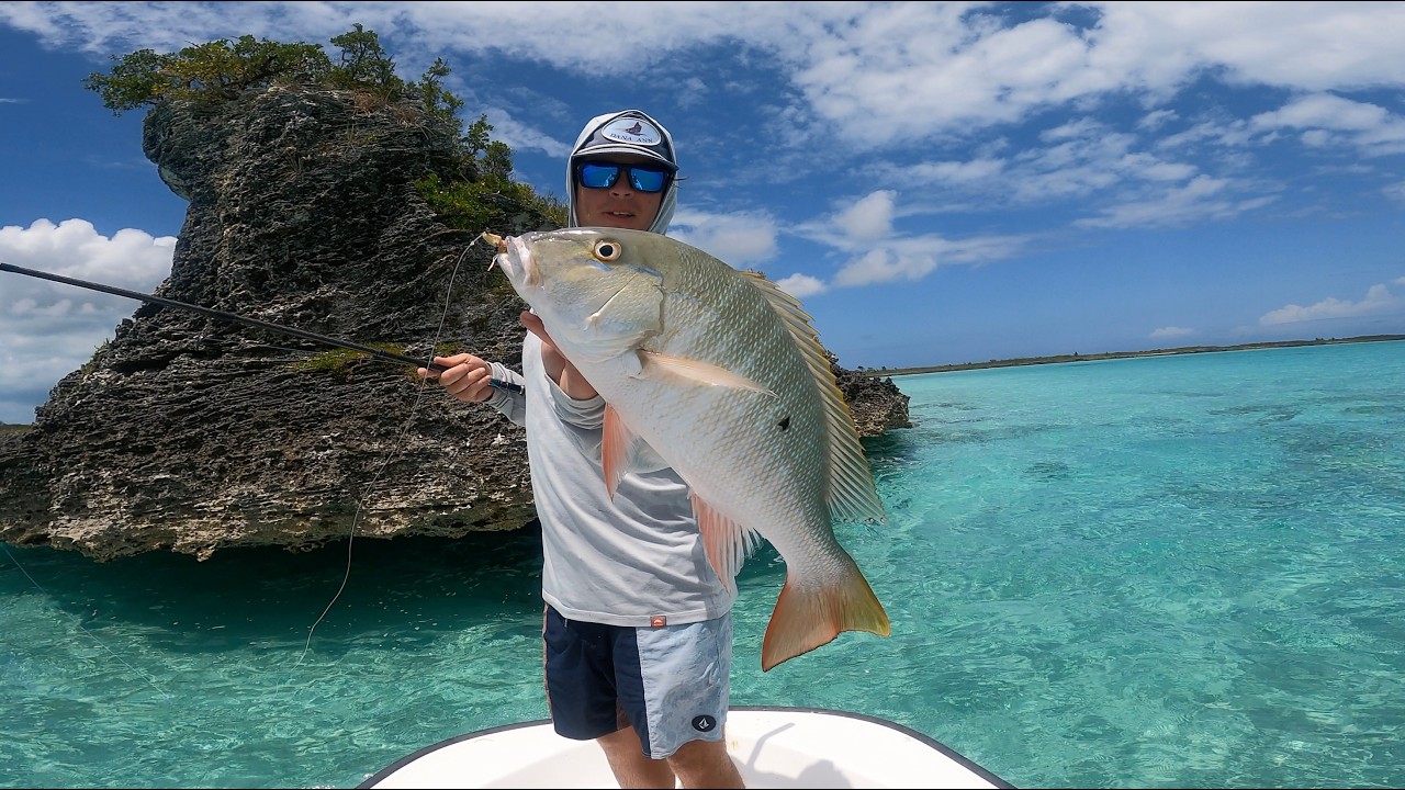 Boston Whaler Adventure (Pt 3) Diving a Blue Hole and Jigging For Mutton Snapper - Bahamas