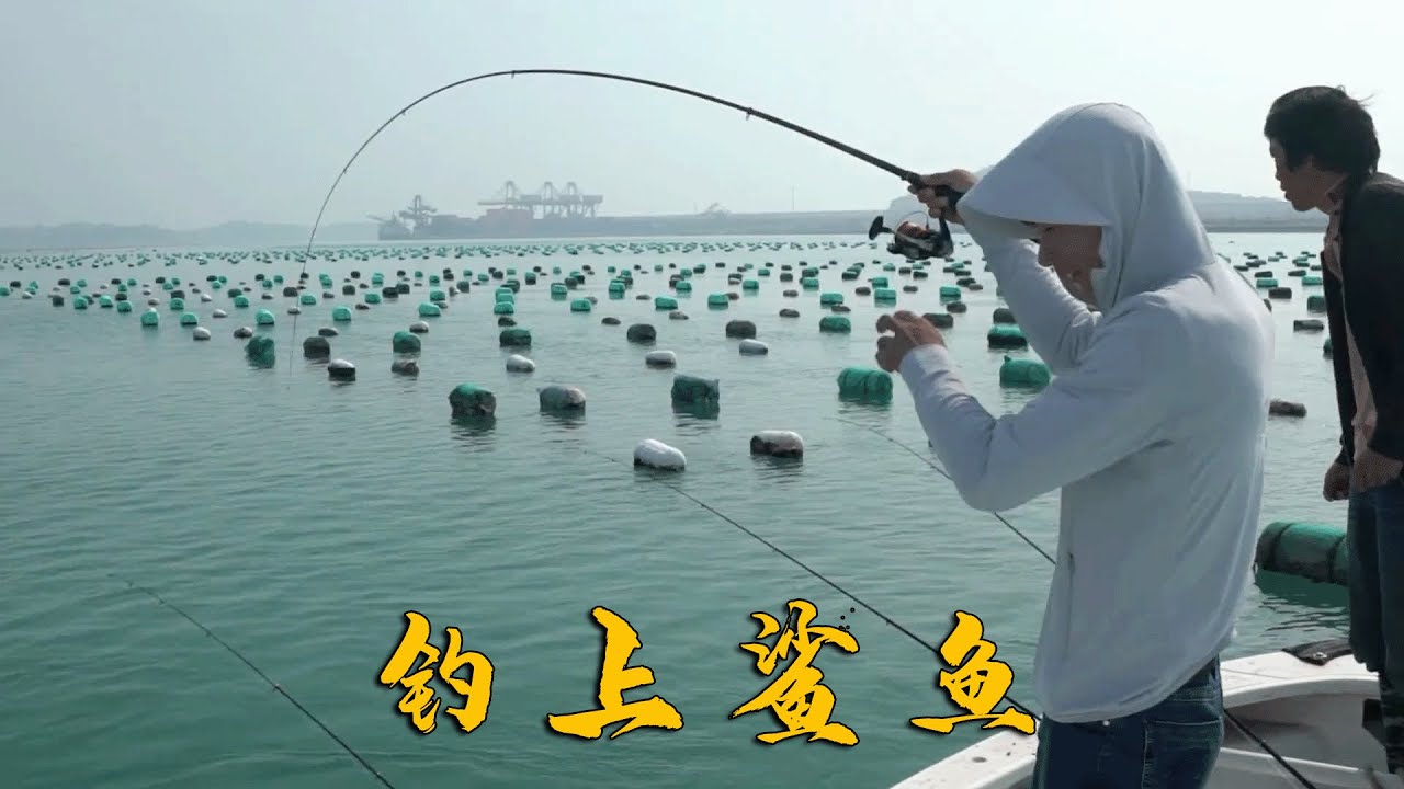阿烽出海竟撞见狗鲨窝，挂上红虫饵料连连中货，一条能卖上五六百