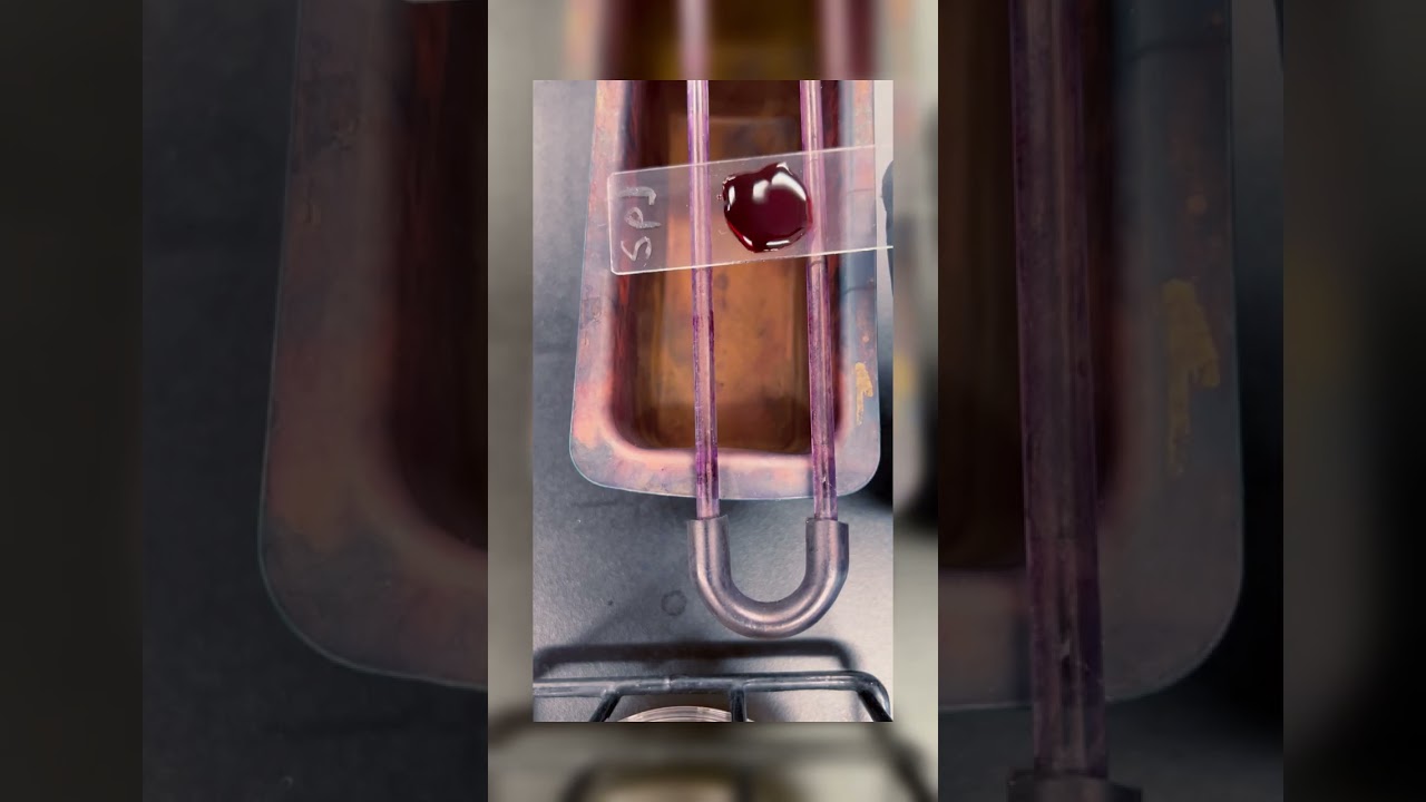 Performing a Simple Stain with Safranin