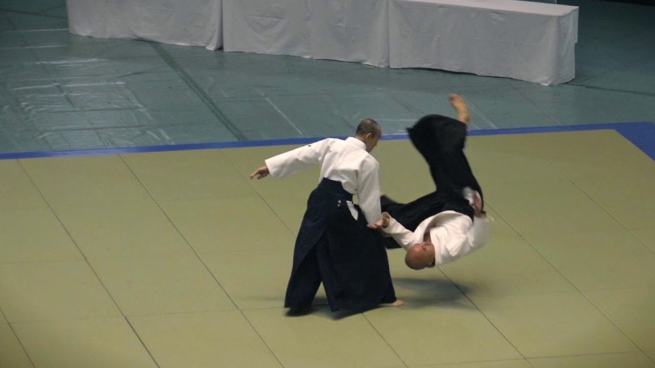 Shimamoto Shihan Embu, 2018