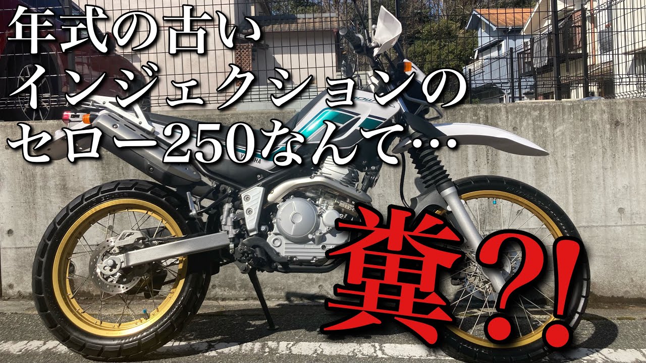 年式の古いFIのセロー250の魅力を熱弁します