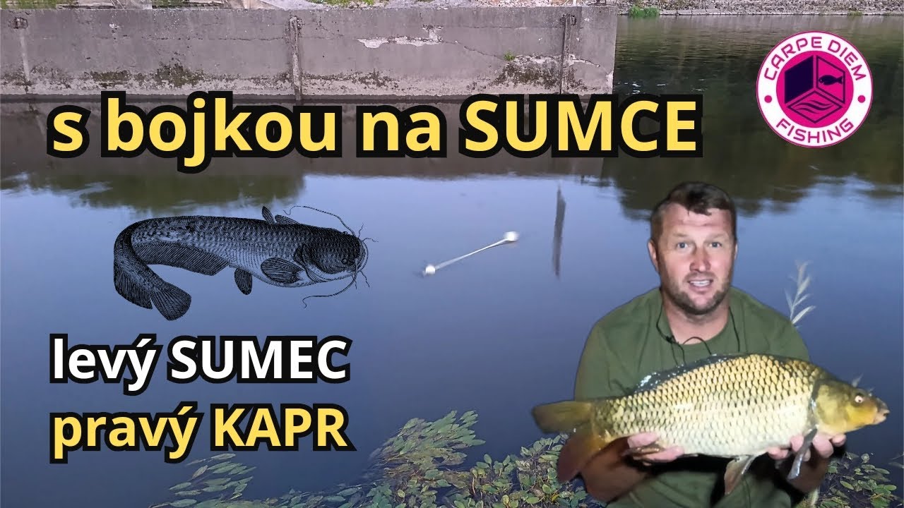 s bojkou na SUMCE 🎣🚀😊 levý SUMEC / pravý KAPR