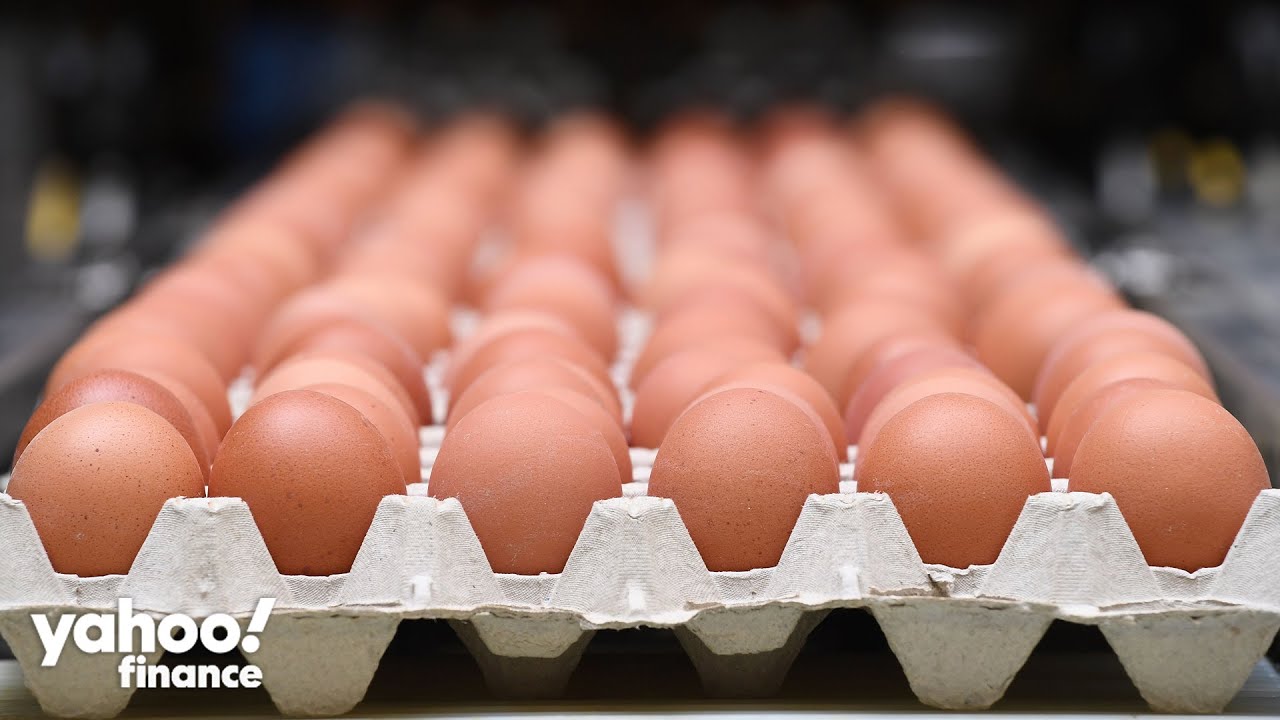 Average price of a dozen eggs reaches record 138% annual increase