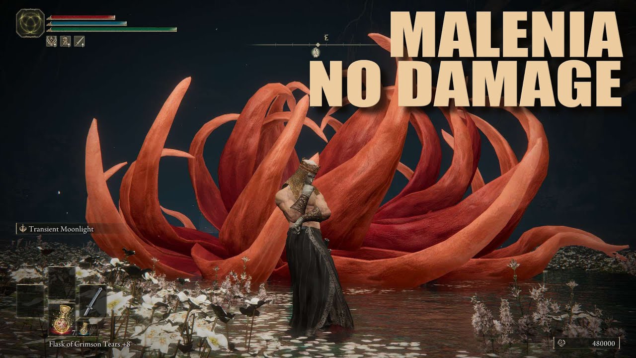 Malenia [No Damage, Solo] | Elden Ring
