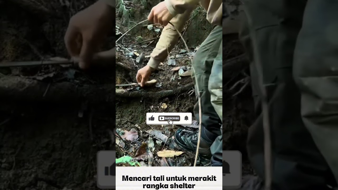 mencari tali untuk merakit shelter  