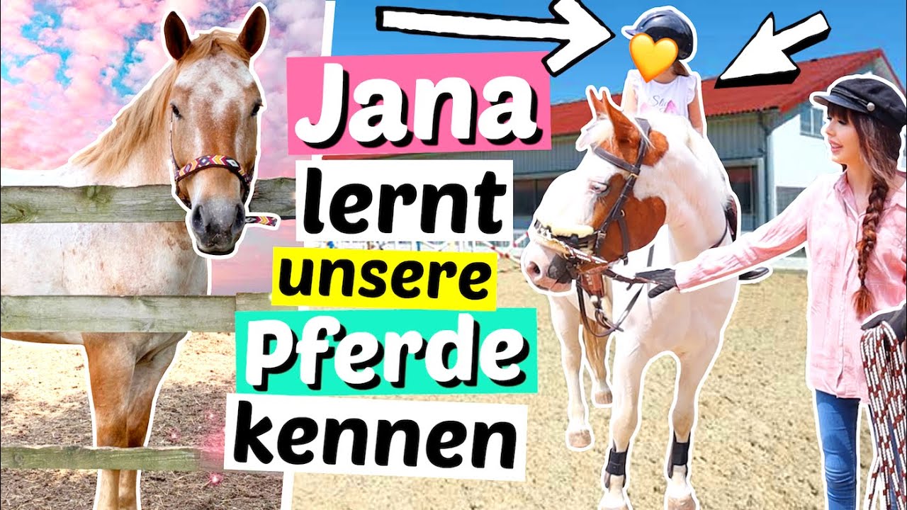 6-j&auml;hrige NICHTE reitet zum 1.Mal & lernt unsere Pferde kennen 😱 | ViktoriaSarina