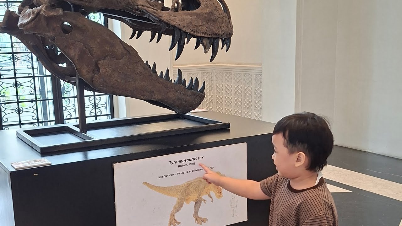 Exploring National Museum of the Philippines
