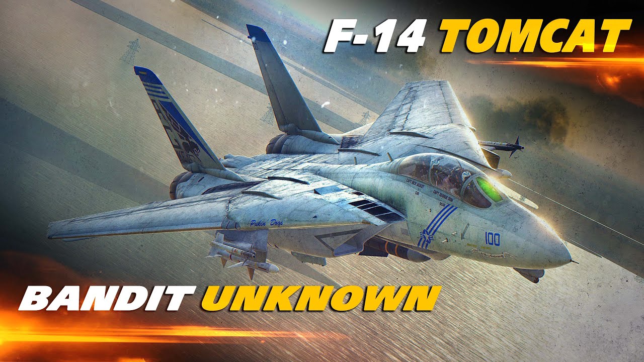 F-14 Tomcat Bandit Неизвестный | Воздушный бой | Цифровой боевой симулятор | DCS |