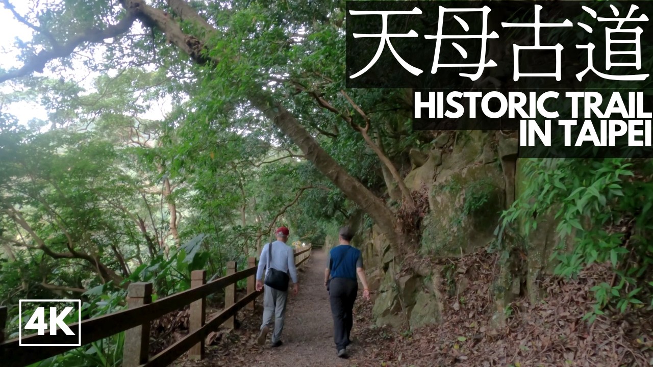 Relaxing Hike in Taipei ⛰️  Taiwan Nature Walk | 4K POV Ambience &bull; ASMR Virtual Travel