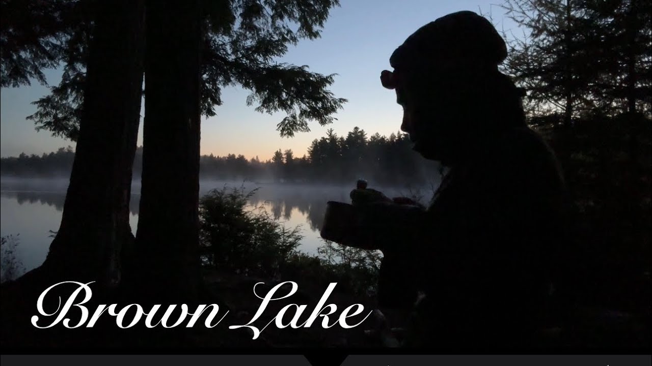 273) Браун Лейк