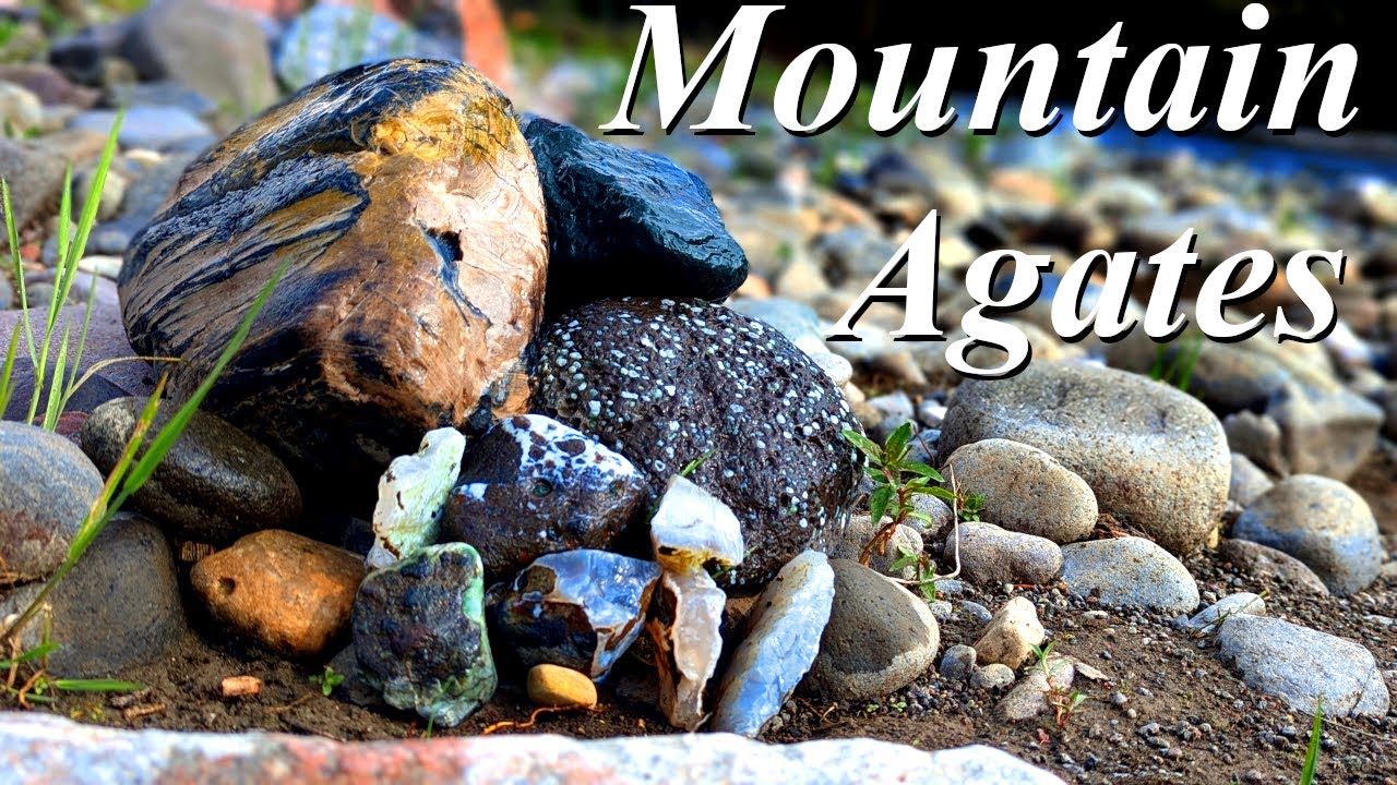 Agates, Petrified Wood, & Galaxy Stone! Hunting a Mountain Stream for Beautiful Treasures!