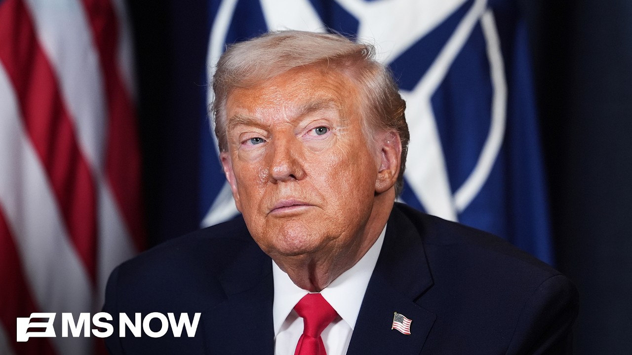 Fmr. U.S. Amb. to Russia: NATO allies appear 'fed up' and 'exhausted' with Trump