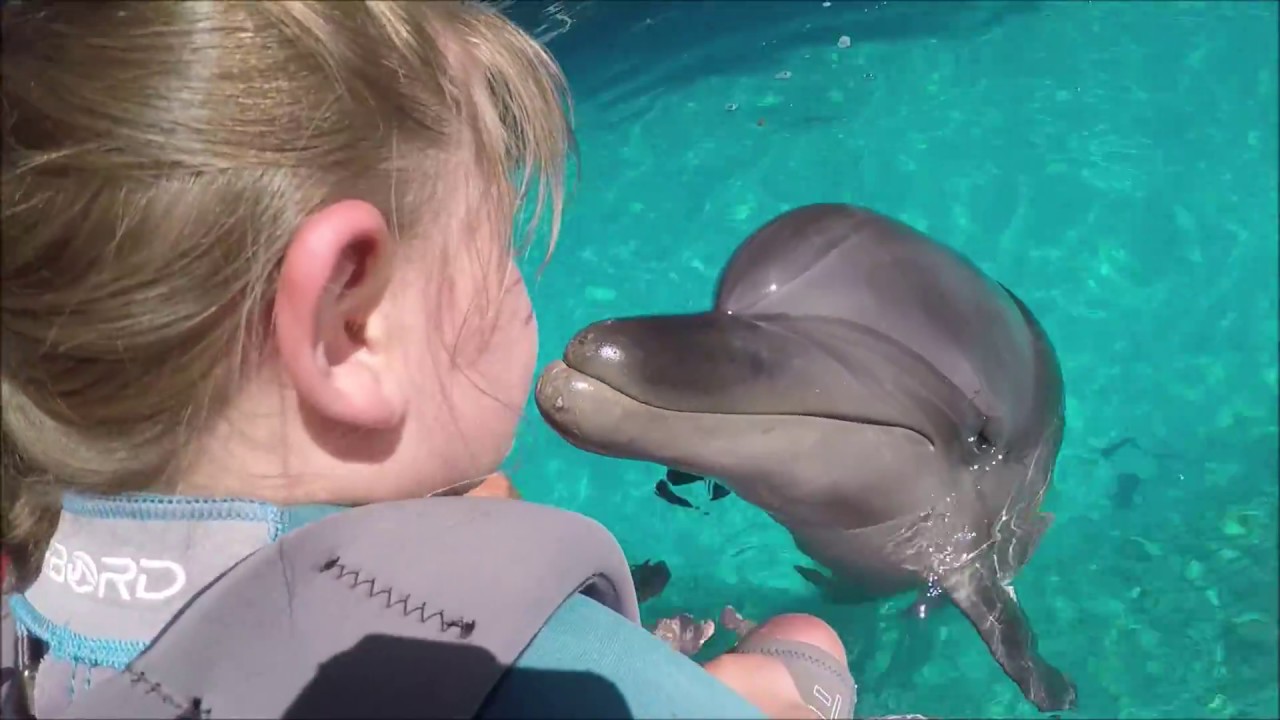 Dolphin Therapy in Kemer TURKEY ( Grace )