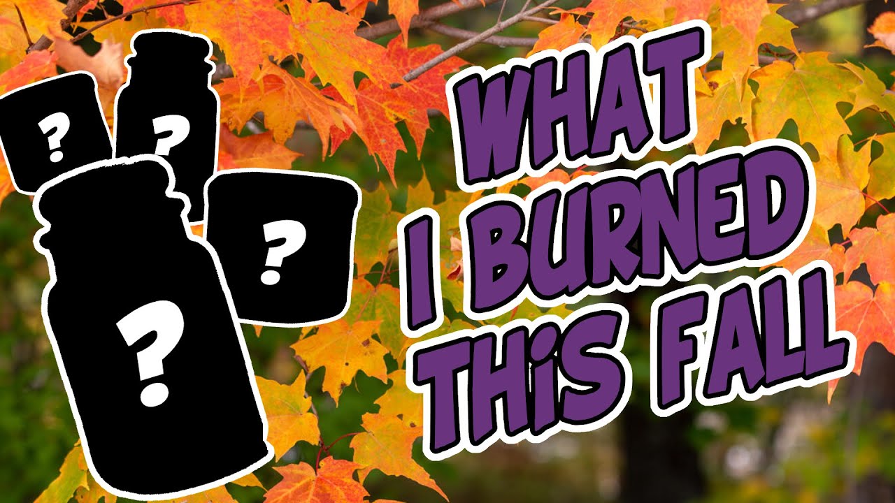 Candles I Burned in Fall 2024: Reviews!
