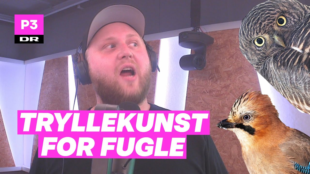 Magi i videnskabens navn