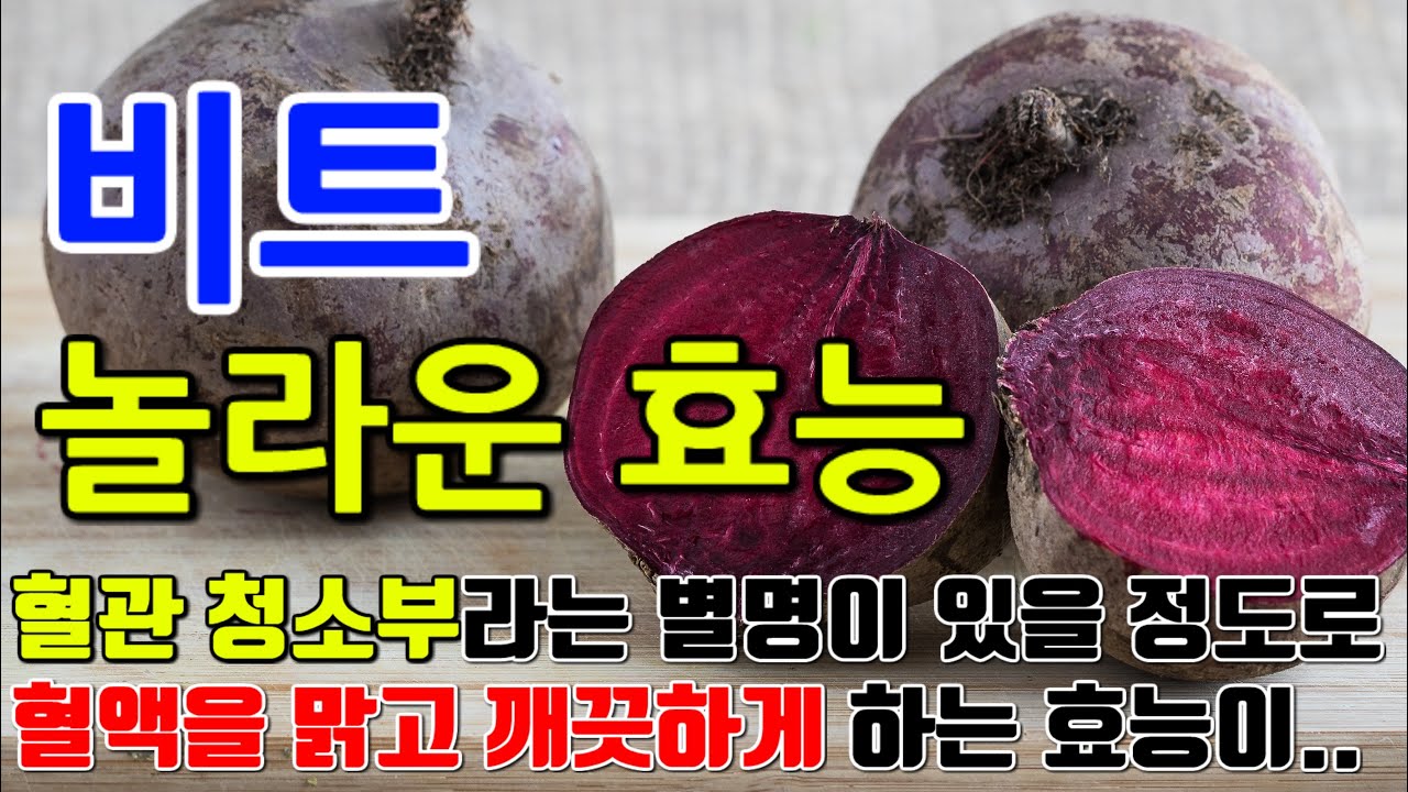 비트의 놀라운 효능 8가지 & 부작용 / 