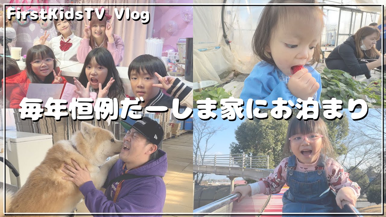 【Vlog】大好きなだーしま家と過ごした3日間