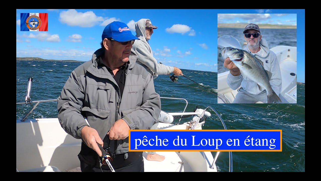 Pêche du Loup , en étang de Leucate ( Sales )
